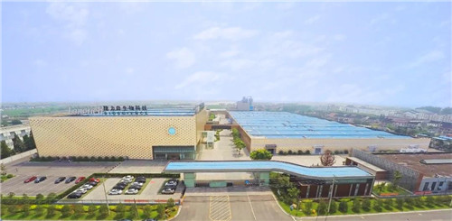 隆力奇智能制造再升级,助推中国“智造”高质量发展