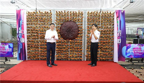 安惠2020中华灵芝文化节开幕!