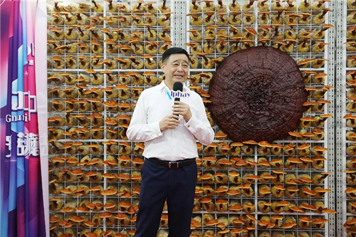 安惠2020中华灵芝文化节开幕!
