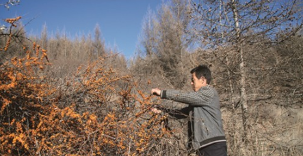 微信图片_20200811182831.jpg