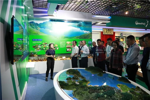 福建省政协副主席刘献祥带领闽籍侨领莅临安发生物考察调研