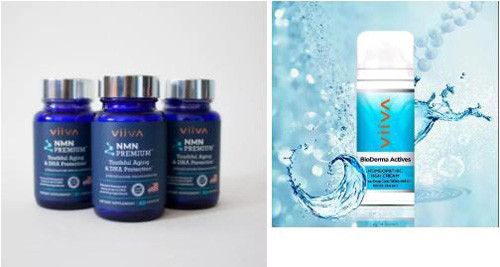 VIIVA(中国)首届钻石精英业务研讨会召开