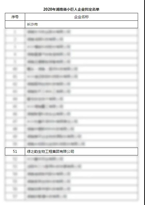 绿之韵集团获评2020年“湖南省小巨人企业”