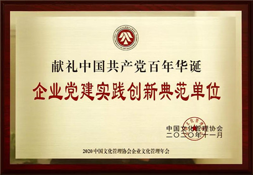 新时代公司荣获“献礼中国共产党百年华诞·企业党建实践创新典范”荣誉称号
