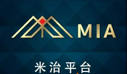 “米治”网络传销案宣判中国区活动组负责人获刑