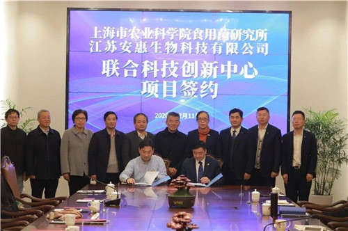 深度合作!安惠和上海农科院食用菌研究所成立联合科技创新中心