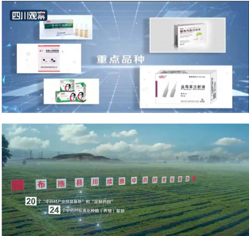 好医生耿福能参加四川中医药传承创新发展会插图4