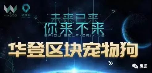 发展近10万人 “华登区块狗”传销项目合伙人被起诉