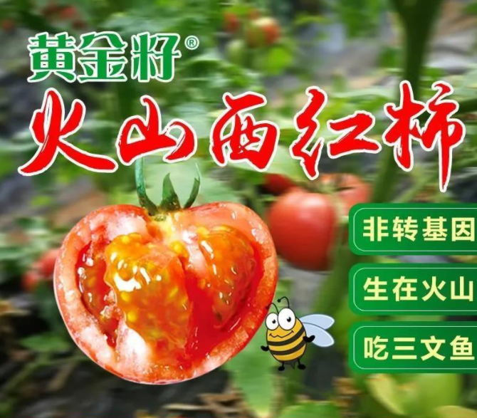 扶贫助农 安然在行动