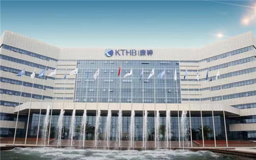 康婷结对帮扶困难村,传递爱心温暖彰显民企担当