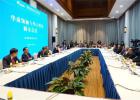 完美｜华商领袖与华人智库圆桌会议博鳌举行